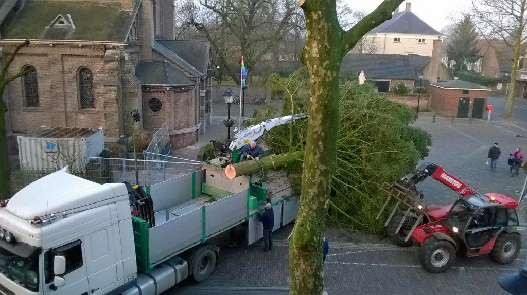 Kerstboom Lierop 2016 2 WP_20161217_002.jpg